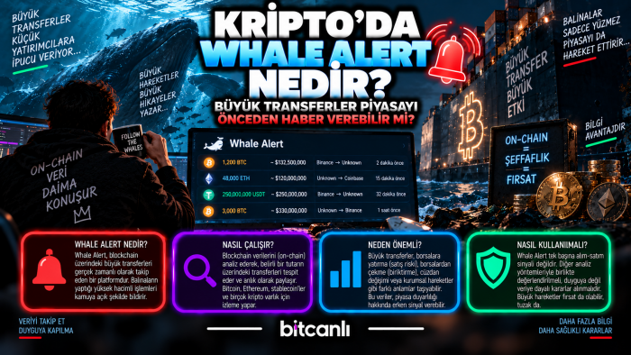 Kripto’da Whale Alert Nedir? Büyük Transferler Piyasayı Önceden Haber Verebilir mi?